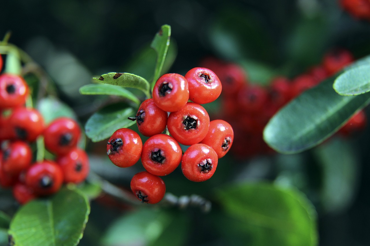 不是第一次 不是第一次