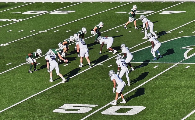 而本菲卡与 而本菲卡与