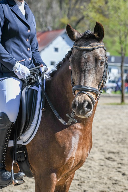 春季活动报 春季活动报