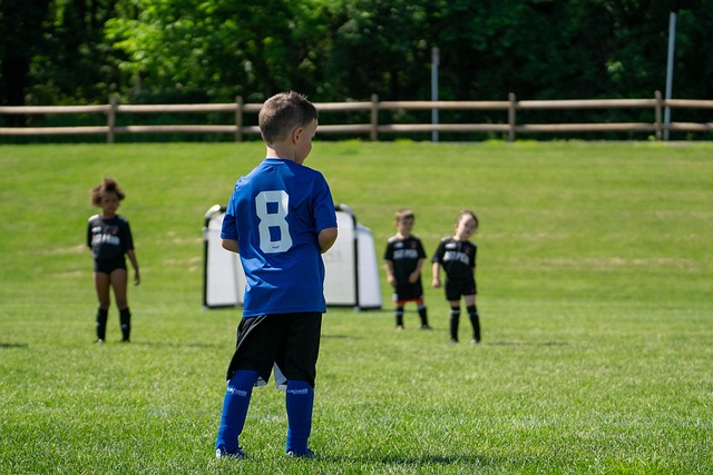 已迅速崛起 已迅速崛起