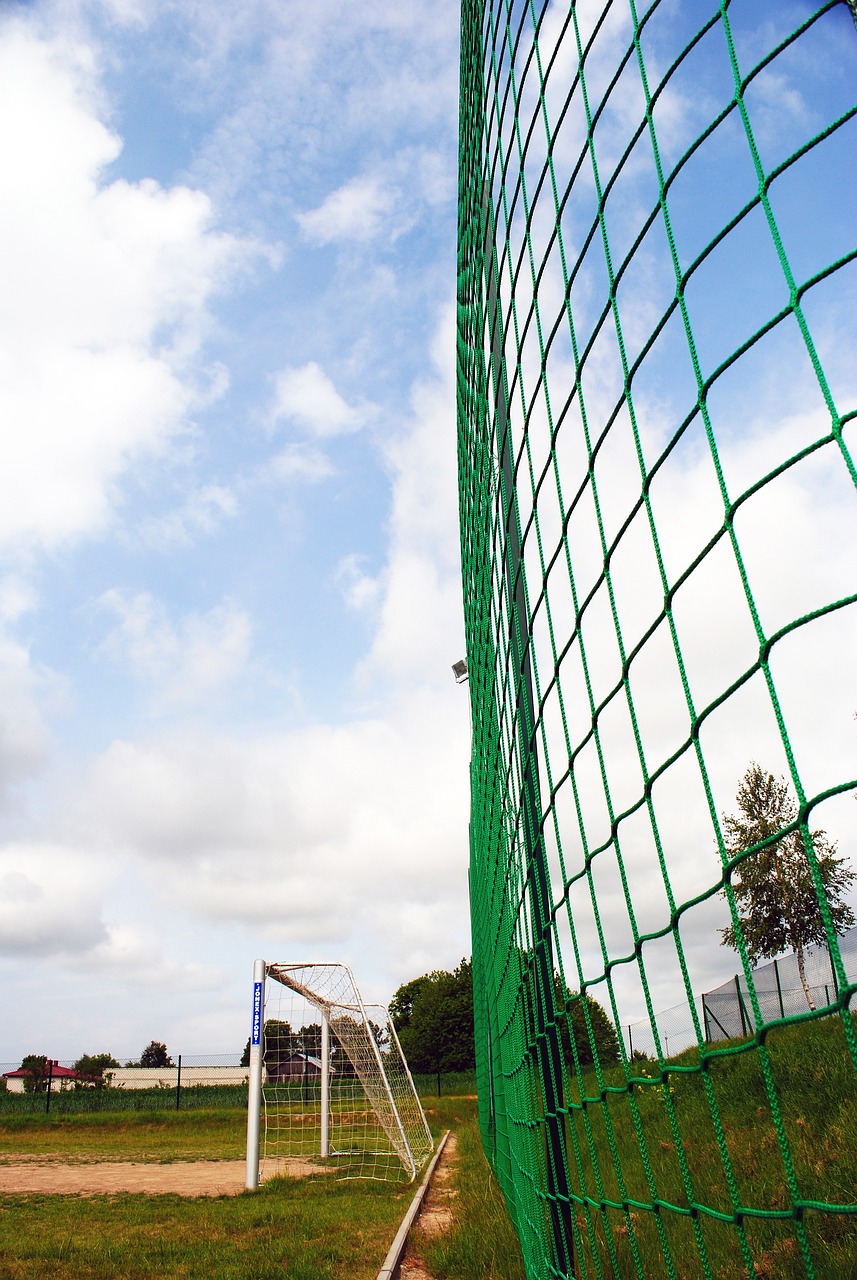 择迎难而上 择迎难而上