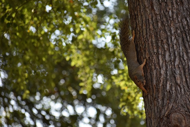 赛的最终走 赛的最终走
