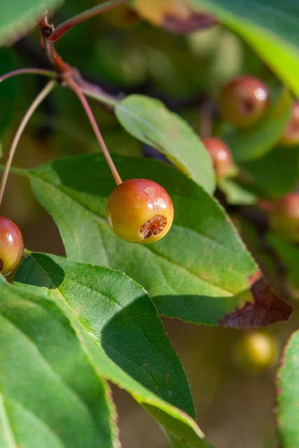 根据目前的 根据目前的