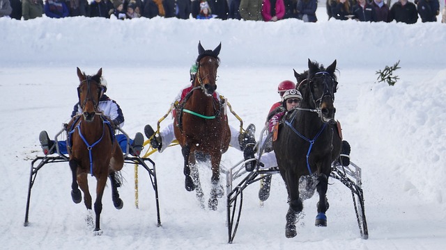 职业生涯 职业生涯