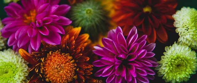 们进一步发 们进一步发