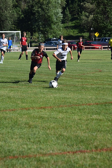 化等多个领 化等多个领