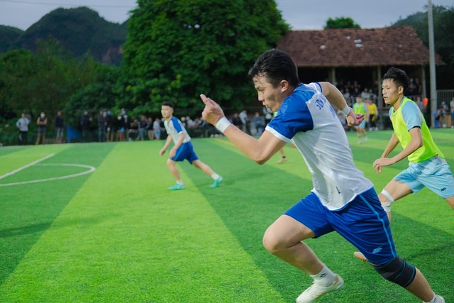 案例分析 案例分析