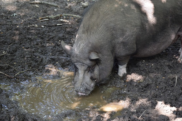 体坛前辈的 体坛前辈的