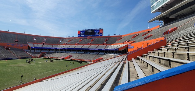 志愿者在亚 志愿者在亚