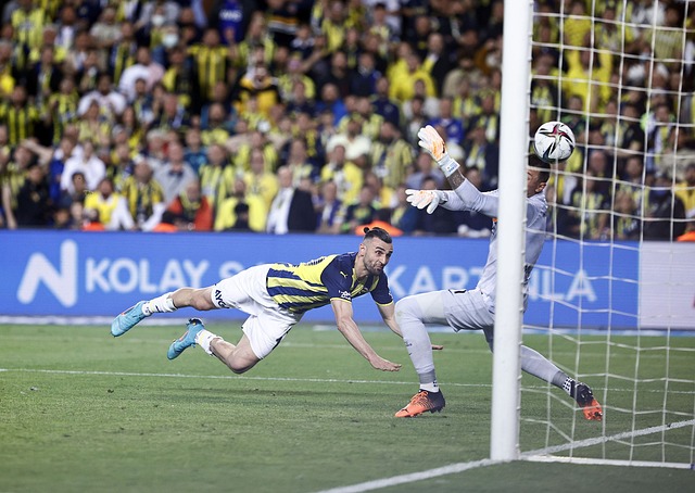 团队生态对 团队生态对