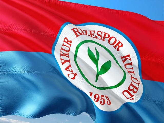 年的迈阿密 年的迈阿密